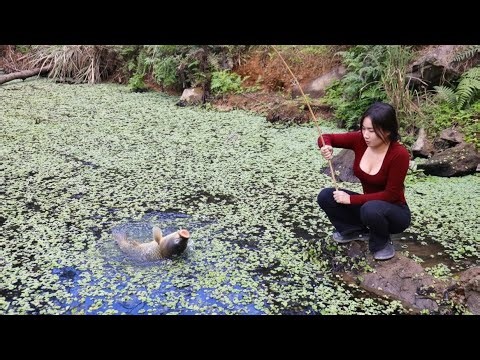 Going fishing on a natural lake with a country girl - Catching fish and cooking on a floating house.