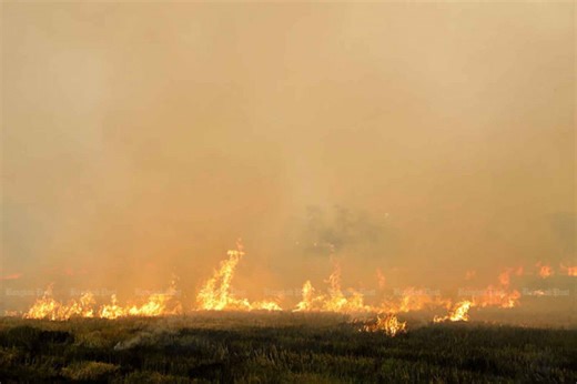 '3R Model' for farming to help curb PM2.5 in Thailand