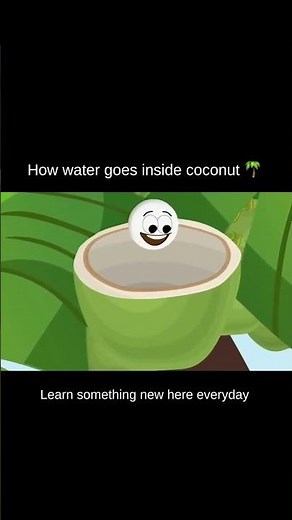 HOW WATER GOES INSIDE COCONUT 🥥🫗