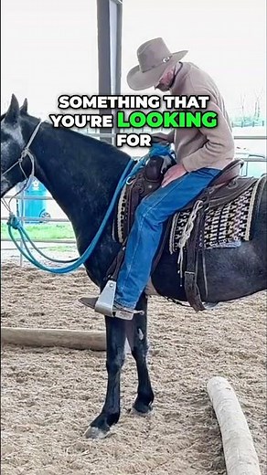 Discover How to Train Gentle Horses Like a Pro