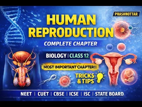 Human Reproduction L04 | Complete Chapter | Biology Class 12 | NEET • CUET • Boards