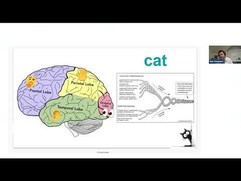 Unlocking Potential: How Targeted Cognitive Intervention Accelerates Learning