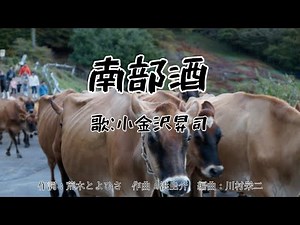 南部酒 小金沢昇司