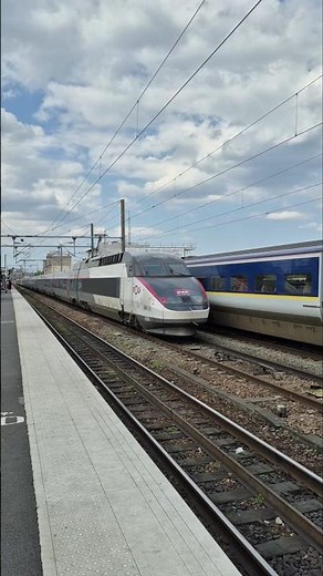 Vous avez le choix entre 2 superbes TGV des années 90, le TMST d'Eurostar et le TGV Réseau #tgv