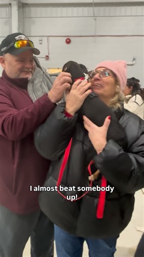 The Sato Project on Instagram: "“I almost beat somebody up!” That’s how anxious Joel’s adopters were to see his sweet face peaking out from his little crate yesterday at the #FreedomFlight. As soon as they saw his picture online, they knew — he was part of their family. Now that our water situation is being attended to, we can share this beautiful moment from yesterday. (Thank you to everybody who advocated for us on the matter!!) From rescued with his mom in a desperate hoarding situation, to r