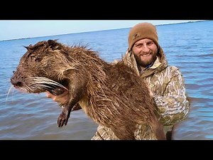 Hunting to Solve a RODENT Crisis in Louisiana