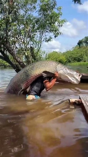 From Tiny Pets to Giant Creatures | Animal Evolution That Looks TOO REAL 🐢🐶