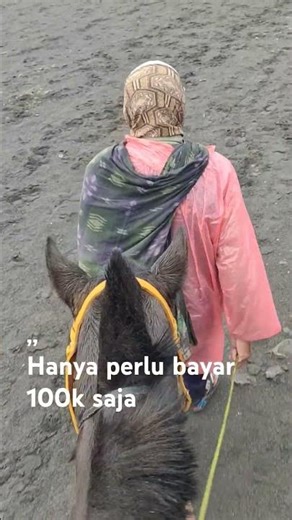 Biaya Naik Kuda di Gunung Bromo || #BinsShorts