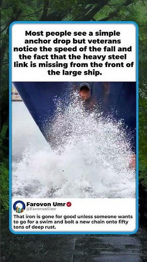 THE MYSTERY OF THE MISSING CHAIN