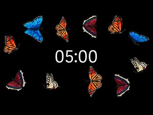5 minute countdown timer butterflies