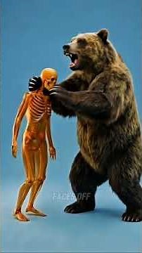 Which Bear Could Finish You in Seconds? 🐻 The Deadliest Bear Ranked