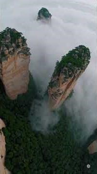 AI Music EP445 Morning Whispers | Nature Flow EP30🚀