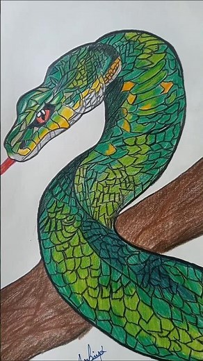 anaconda drawing 🐍 #drawing #anaconda #realistic