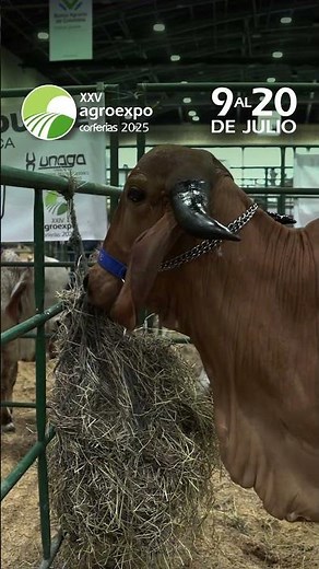 ¡Visita Agroexpo 2025 en Corferias, Bogotá! Del 9 al 20 de julio.