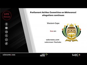 Parliament Ad Hoc Committee on Mkhwanazi allegations hears testimonies from witnesses