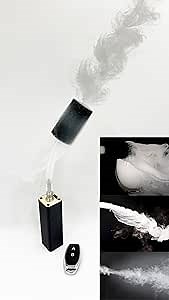 Amazon.com: Fog/Smoke Machine with Wireless Remote for DJ, Dancing, Party, Photography, Events, Stage Effects, Halloween, Video, Product Display (Black) : Musical Instruments