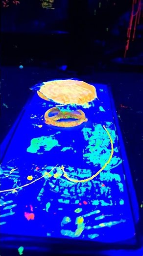 splash it #splash #water #viral #shorts