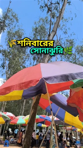 শনিবারের সোনাঝুরি হাট😍 Sonajhuri Haat Bolpur |Bolpur Tour Plan #sonajhurihaat #bolpur #shantiniketan