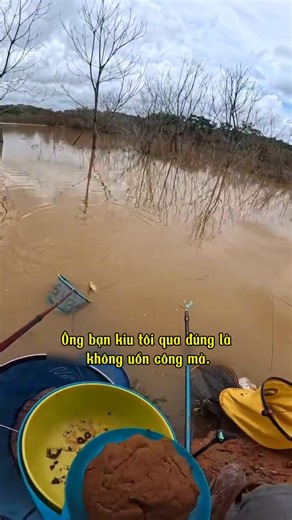 #câu #cauca #cá #fishing #fish #sanhang #caphi #caucathugian #fishinglife | CÂU CÁ