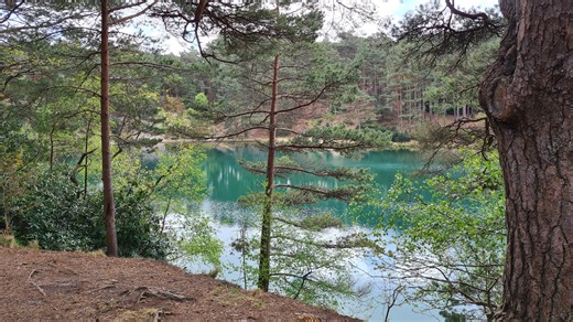 Dorset Landscapes | The Blue Pool in Wareham, Dorset forms part of the Furzebrook Estate which traces its history back nearly 400 years | Facebook