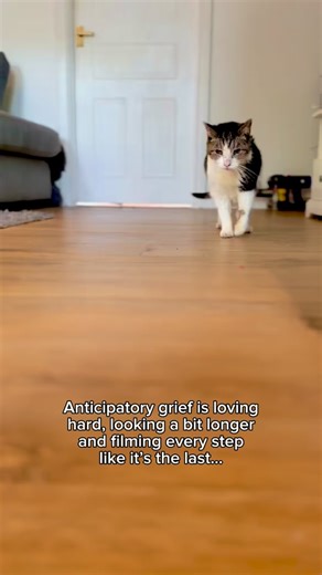 63K views · 10K reactions | She is 20. I’m not deluding myself and I...