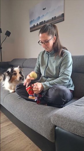 Super schnelles und einfaches DIY Hundespielzeug | Hundespielzeug selber machen