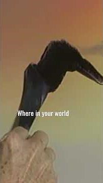 Bob Ross shows you how to build a little mountain into your painting