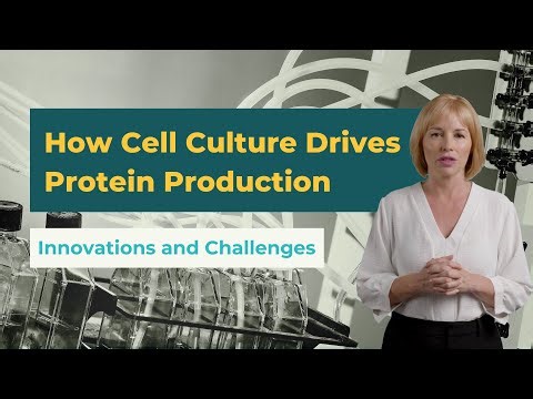 How Cell Culture Drives Protein Production | Innovations and Challenges