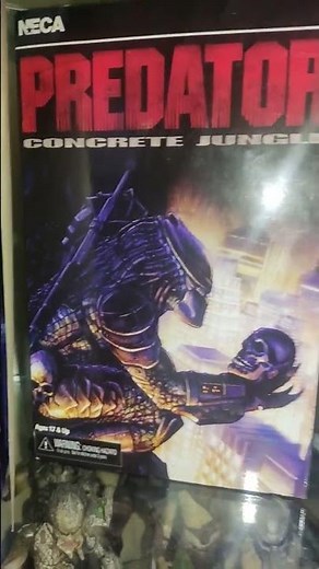 Predator concrete jungle