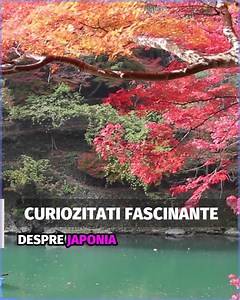 Japonia: Tărâmul paradoxurilor și al misterelor fascinante #curiozitati | Tineri Romani