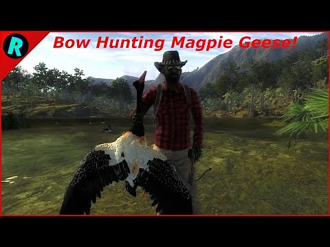 Bow Hunting Magpie Geese | theHunter Classic