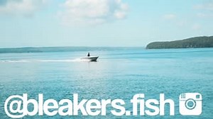 You'll want to see this! Using the Lowrance App, Jono Bleakers, shows you how easy it is easy to mirror the EliteFS onto a mobile device. 🚤 A great option for those fisho’s who have single units on their boat and are fishing without visibility of the unit at the helm. 🎣 Bleakers Fishing | Lowrance