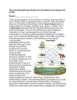 Food Webs in Ecology & STEM - No Prep - Worksheet - 100% Editable