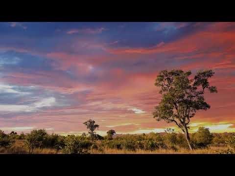 Reccing the Room pt. 2