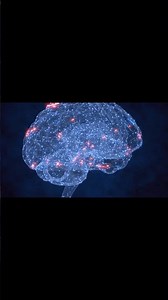 Can the human brain work like a quantum computer? #humanbrain #facts #mindset #neuroscience