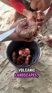 📌Camiguin Island, Philippines, is a serene and breathtaking destination. Volcanic landscapes, lush rainforests, and pristine beaches define this tiny island. Waterfalls cascade into crystal-clear waters, while historic landmarks like the Sunken Cemetery and Old Church Ruins whisper secrets of the past. With its stunning natural beauty, diverse wildlife and warm local culture, Camiguin beckons travelers seeking adventure, relaxation and authenticity. | Camiguin Viajeros Vacation Rental