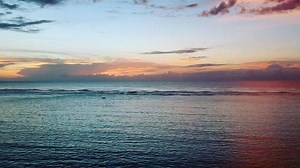 Wayne Carpendale on Reels