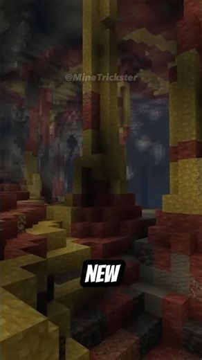 Do you like this new Minecraft Update? #minecraft #tipsandtricks #minecraftshorts #minecraftupdate