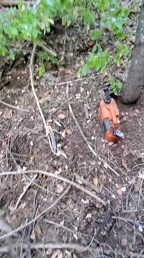 tight squeeze #sugarpine #shaverlake #fromthewoodsinc #treeslayer #stihl #500i #timberfaller #logging #logging