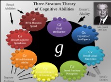Cattell & Horn Theory of Fluid & Crystalized Intelligence