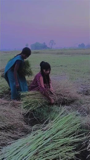 Pink Color (4K Video) Dhananjay Dhadkan | Ft. Kajal Kashyap | Pink Color | New Bhojpuri Song 2026