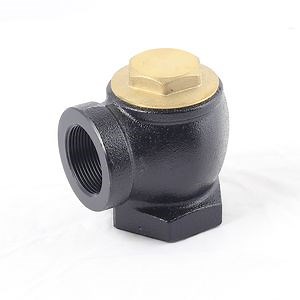 [Hot Item] 2" One Way Angle Check Valve