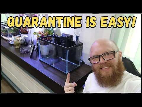 How to setup a saltwater QuaranTine tank and Tips!