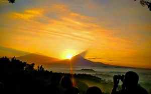 Ekonomi Digital Desa Jalan di Tempat, Indef Dorong Peningkatan Infrastruktur dan Literasi Digital