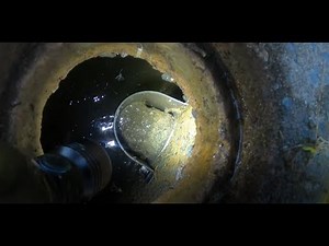 Blocked Drain 118 (Blocked Bio Cycle)