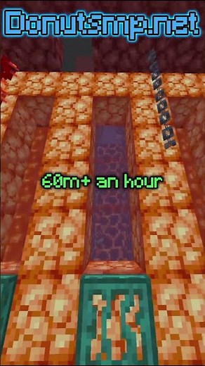 Best donut SMP farm ever #donutsmp #farm #beginer