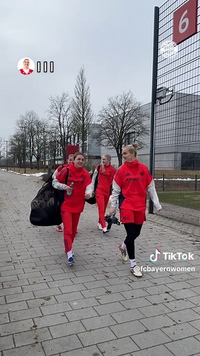 Vanessa's Thoughts on the Superbowl Choices