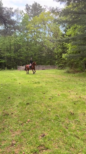 Silly Philly got a little excited lol