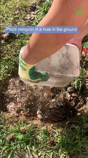 Making EM Compost at office