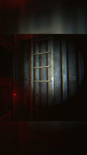 The Ladder Fall Scene